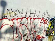 Трафаретчика из Красноярского края схватили в Калининграде