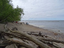 Фирме из Москвы продадут почти гектар в Светлогорске за 566 тыс. руб.