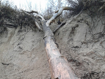 На Куршской косе запретили загорать на «сковородке»