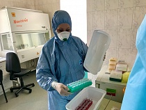 В Калининградской области 198 новых инфицированных коронавирусом 