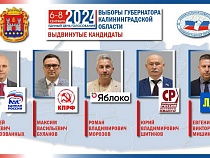 Среди кандидатов в губернаторы нет уроженцев Калининградской области