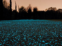 Калининградцы получат звездное небо под ногами