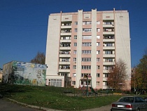 Калининградец отсудил 163,5 тысячи рублей за падение рубероида с крыши на его автомобиль