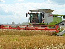 В России прогнозируют рост урожая зерновых в 2019 году