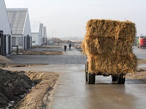 Россельхозбанк запустил на платформе Своё Фермерство сервис анализа кормов