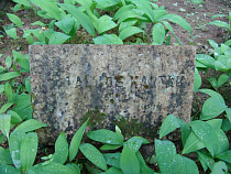 На кладбище под Светлым упавшее надгробие сломало ребенку ногу