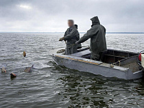 Браконьер поставил в Калининградском заливе 100-метровую сеть