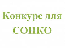 Правительство направило 9,7 млн руб. на поддержку региональных НКО