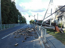 На трассу в Польшу рухнуло дерево