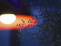 В Калининграде на полчаса отключат более 200 фонарей