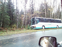ДТП на Балтийском шоссе: полный пассажиров рейсовый автобус врезался в дерево
