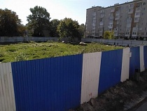 Владельцу SPAR в Калининграде разрешили вырубить деревья на Дзержинского