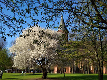 У Калининграда самый большой прирост туристов по стране за майские праздники 