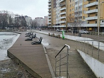 В Калининграде голод птиц превратили в кормушку для бизнеса