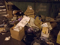 Несколько УК в Калининграде хотят перенести площадки для сбора мусора на придомовые территории