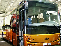 Власти Калининграда решились на покупку новых автобусов, но вот с их цветом определиться не могут