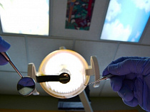 В Калининграде врач-стоматолог украла у коллеги 125 тысяч рублей 