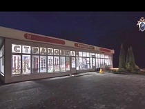 Фаната анимэ Японии обвиняют в покушении на убийство под Калининградом