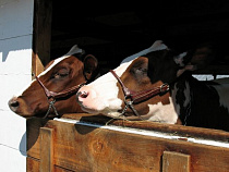 В Калининградской области планируют построить селекционно-генетический центр