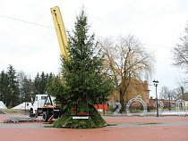 Разгневанные жители Нестерова получили ёлку