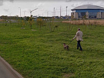 Калининградцев попросили назвать два сквера на Сельме (фото)