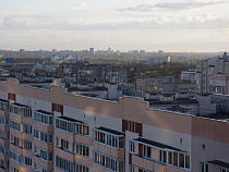  Восемь муниципалитетов сократили обработку территорий от клещей