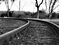 В Калининградской области электричка врезалась в стадо коров