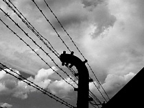 Убийце пациента противотуберкулезного диспансера в Советске грозит 10 лет тюрьмы