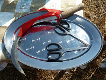 Росстат: за полтора месяца работы переписчик получит 16 200 рублей