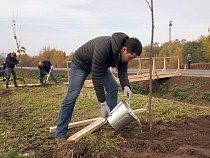 Алиханов назвал места будущих посадок в Калининграде 