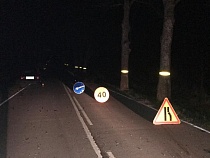 Под Гусевым в ДТП с коровой пострадали двое пассажиров «Ауди»