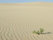 Уроженец Калининграда номинирован на звание «Юного фотографа года» Королевского биологического общества Великобритании