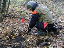 В Калининградской области найдено 16 бомб, снарядов и мин