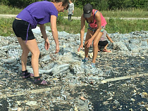 Посреди Калининградской области начался лов морской рыбы (фото)