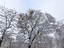 В Калининграде сотни горожан лишились света