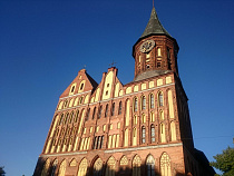 Пьяный разбойник не побрезговал нардами с видом Кафедрального собора в Калининграде