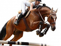 В Гурьевском районе пройдет Чемпионат Калининградской области по конкуру