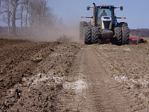 В Калининградской области убрали 39% посевов картошки и 31% овощей «открытого грунта»