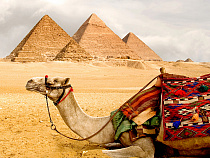 Россияне на четыре месяца освобождаются от уплаты визового сбора при посещении Египта