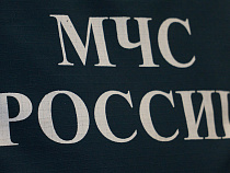 В Калининградской области сапёры за сутки собрали 125 снарядов, мин и гранат