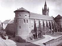 Более 30 тысяч человек поддержали восстановление замка в Калининграде