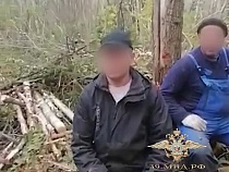 Полиция накрыла массовую вырубку леса в Балтийском лесничестве