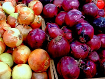 Индивидуального предпринимателя оштрафовали за недействительный фитосанитарный сертификат