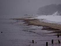 Власти рассказали о критической зависимости Калининградской области
