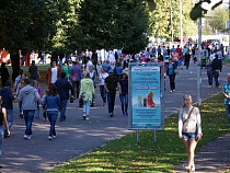 За шесть месяцев 2016 года в регионе зарегистрирован 6 841 безработный