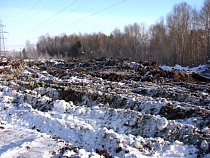Ядовитая свалка в приграничном районе Калининградской области