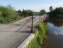 Житель Советска убил и разделал лося