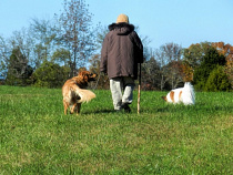 В Калининграде пенсионерка гналась за ограбившим ее мужчиной