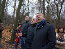 Администрация Калининграда отчиталась об итогах работы комитета городского хозяйства