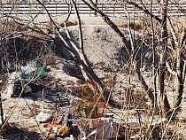 В Янтарном элитный пляж превращают в свалку с маслом